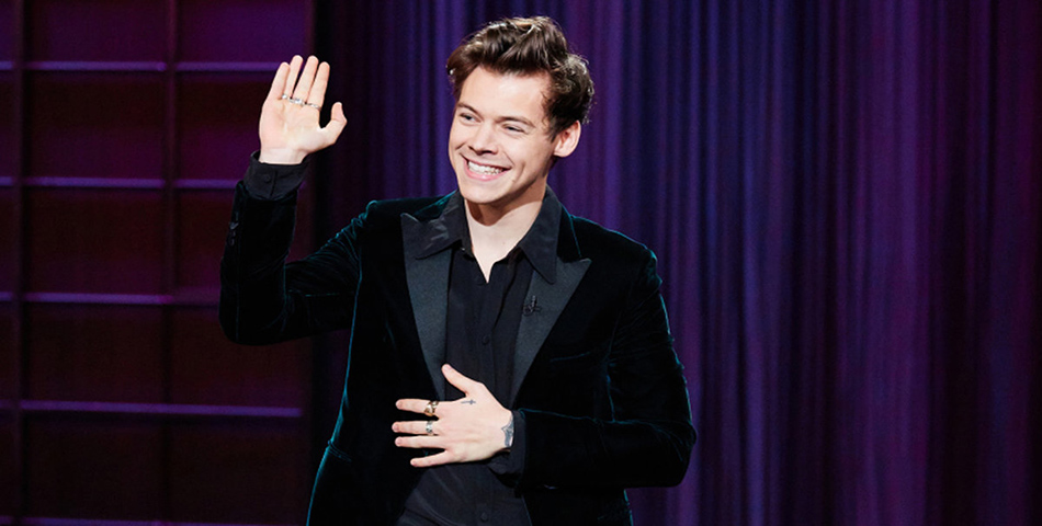 Acosaron sexualmente a Harry Styles en medio de un show y las redes sociales explotaron