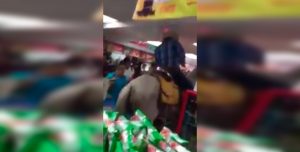 Insólito: entró al supermercado con su caballo para comprar cerveza