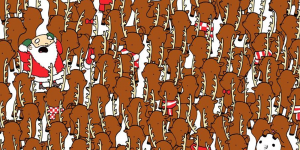 ¡Llegó el desafío navideño!: Ayudá a Papa Noel y encontrá el oso entre todos estos ciervos