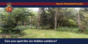 ¡El primer desafío del año!: ¿Podés ver a los 6 soldados escondidos en la imagen?