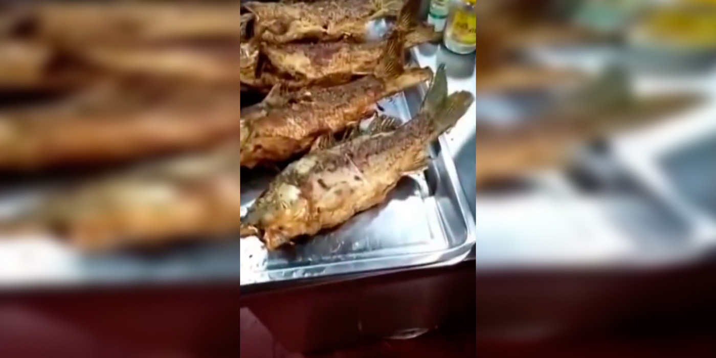 Mozo, mi pescado frito se mueve