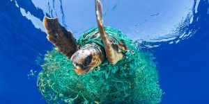 La “Isla de Plásticos del Pacífico” es más grande de lo que se pensaba