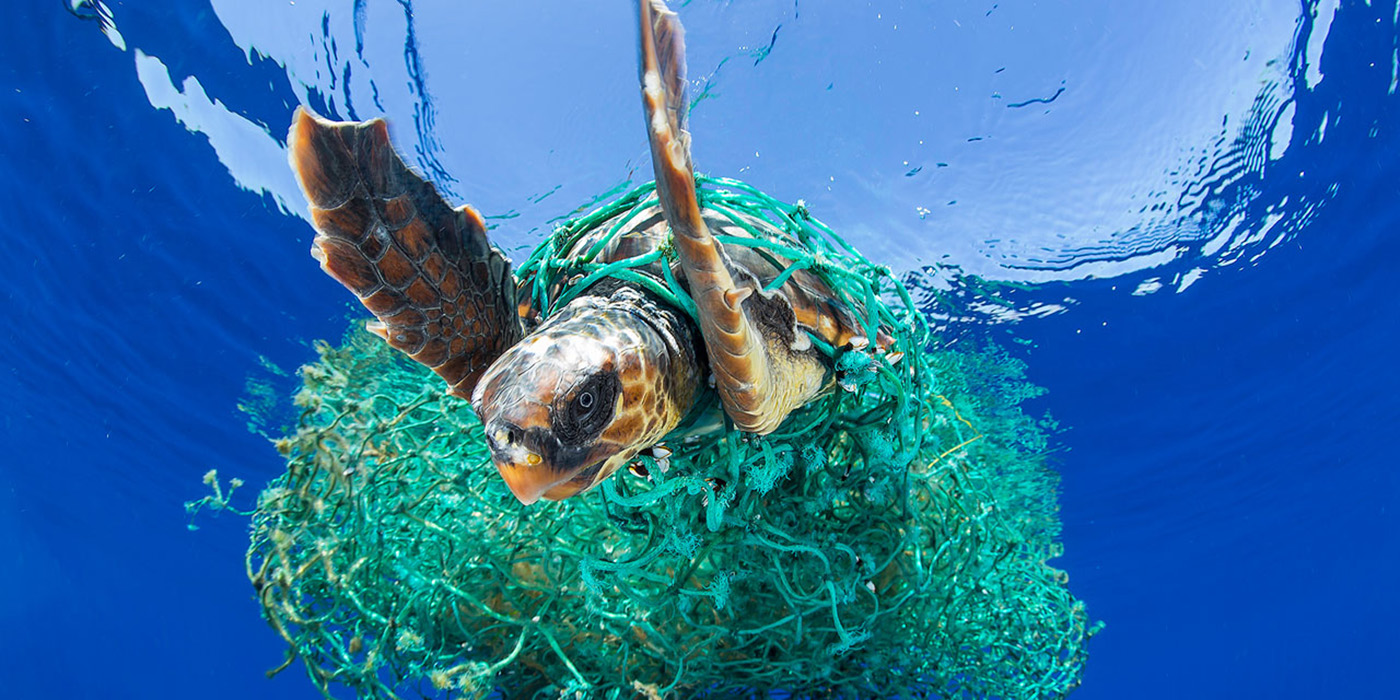 La “Isla de Plásticos del Pacífico” es más grande de lo que se pensaba