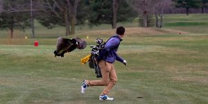 Pelea a muerte entre un golfista y un ganso