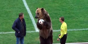 Teléfono, Sampaoli: un oso dio el puntapié inicial en Rusia
