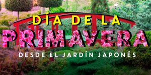 Participá para ser parte de la transmisión de BDT desde el Jardín Japonés