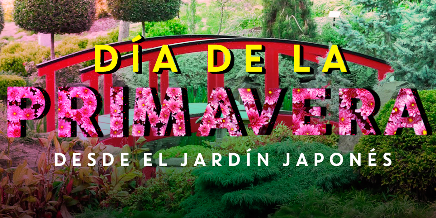 Participá para ser parte de la transmisión de BDT desde el Jardín Japonés