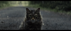 Así es el remake de ‘Pet Sematary’