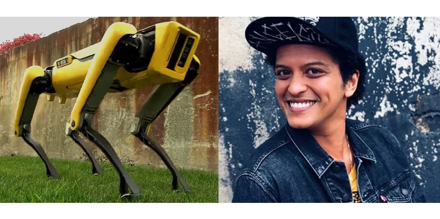 Furor por el perro robot que baila al ritmo de Bruno Mars