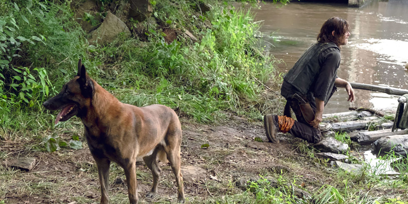 The Walking Dead: Miles de fans firman una petición para que “no maten al perro de Daryl”