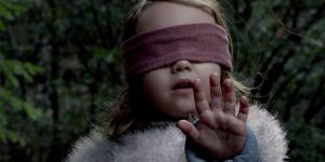 Una adolescente provocó un accidente por hacer el ‘Bird Box Challange’ mientras manejaba