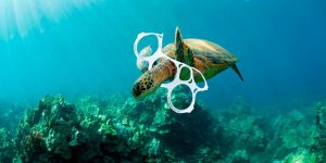 La alarmante estimación sobre el plástico en los océanos para el año 2025