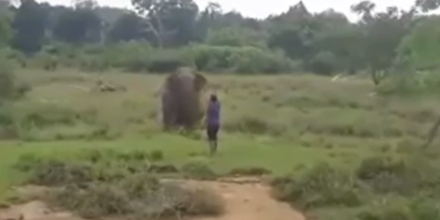 El horripilante momento en el que un elefante mata a un hombre que intentaba hipnotizarlo