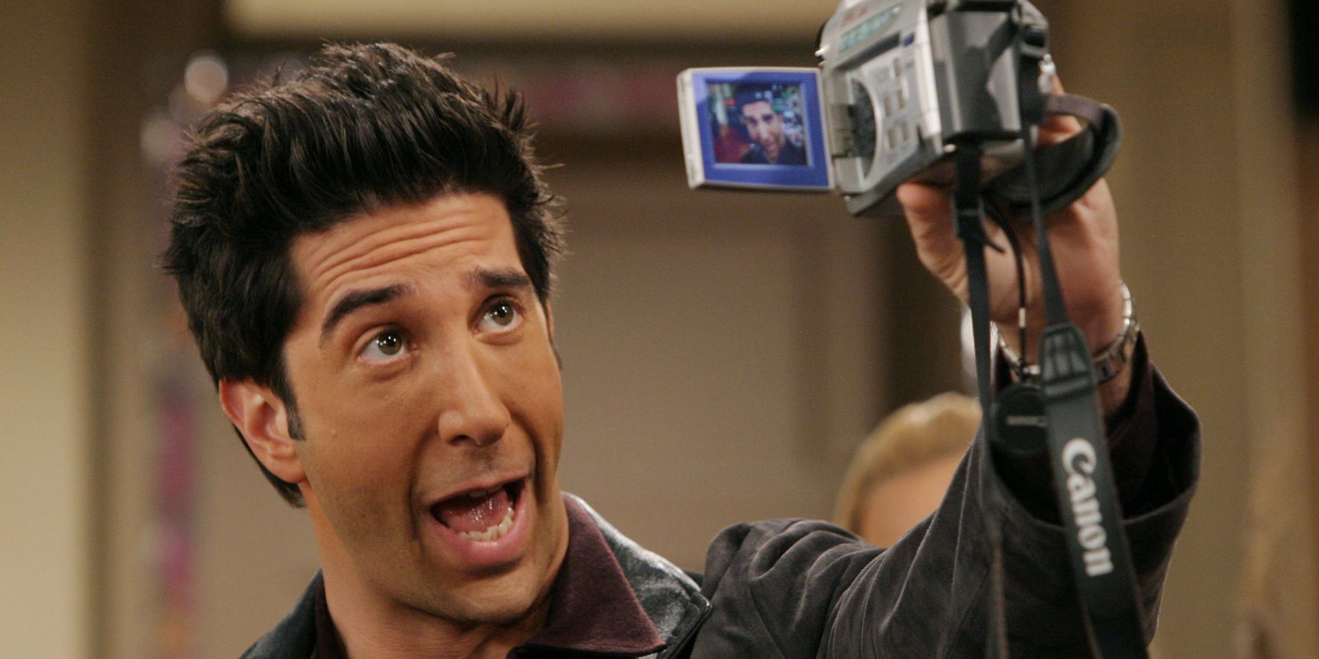 ¿Por qué Hollywood no siguió contratando a David Schwimmer como actor?