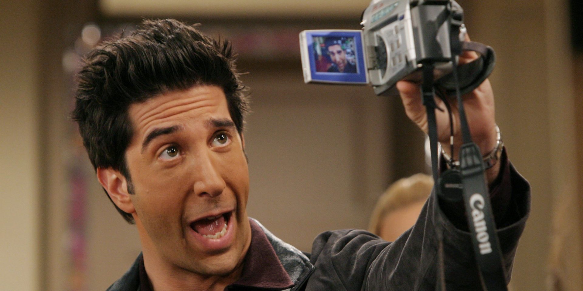 ¿Por qué Hollywood no siguió contratando a David Schwimmer como actor?