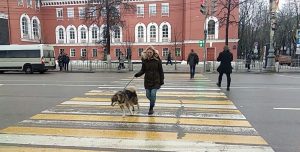 Hablemos del perro que cruza la calle mejor que un humano