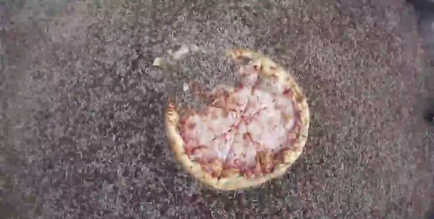 10 mil gusanos devoraron una pizza en dos horas