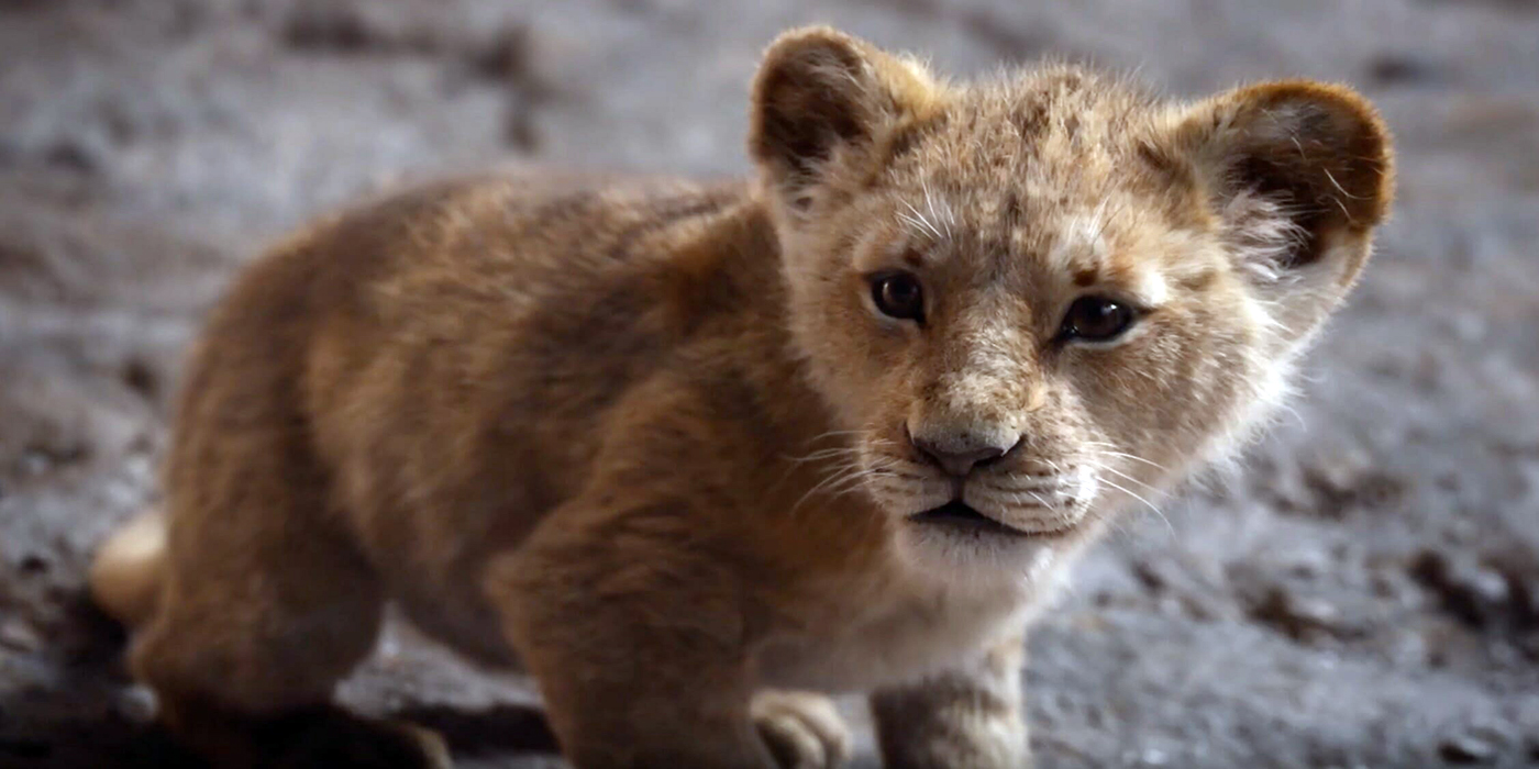 “Nunca había visto algo así”: ¡Estas son las primeras reacciones al remake de “El Rey León”!