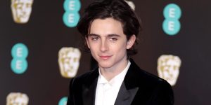 ¿Qué pasó con la cabeza de Timothée Chalamet?