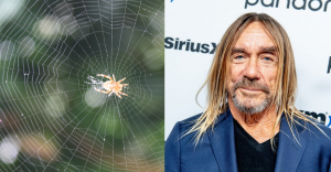 Iggy Pop: “fumaba tela de araña para drogarme”