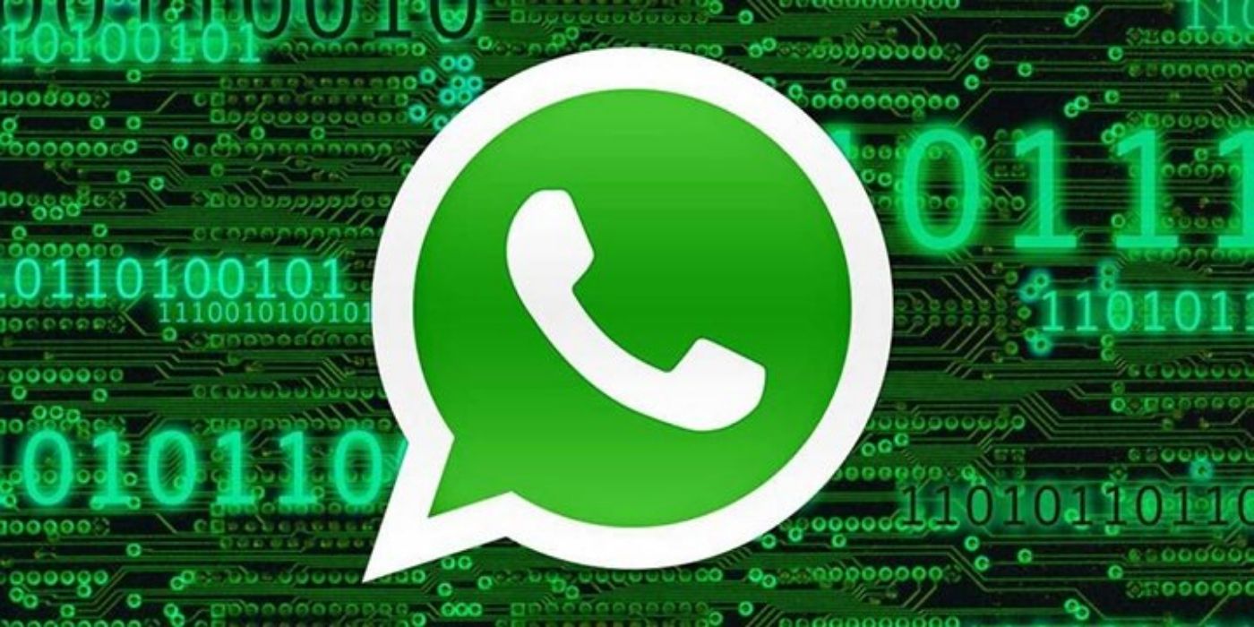 La falla de Whatsapp que permite espiar tus conversaciones: ¿Cómo prevenirla?