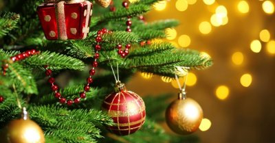 Harvard devela por qué discutimos más en Navidad