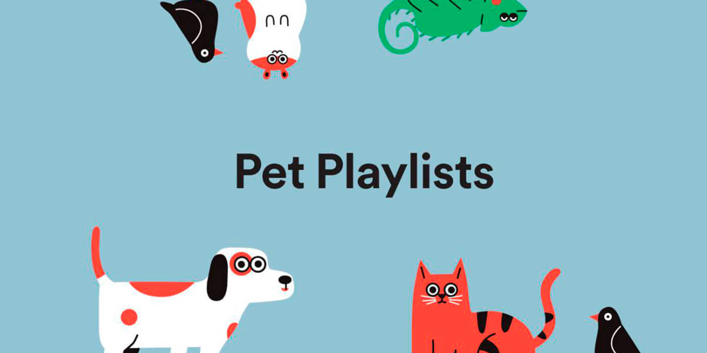 Pet Playlists: Spotify lanzó una función que crea listas para acompañar a las mascotas
