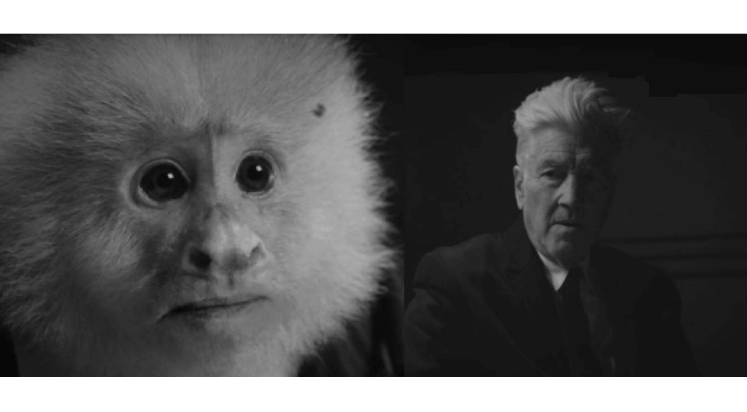 ¡Sorpresa! Netflix estrenó “¿Qué hizo Jack?”, un corto de David Lynch