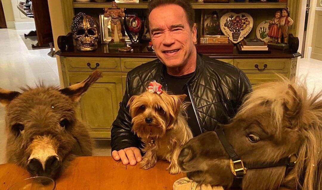 El mensaje de Arnold Schwarzenegger junto a su poni y su burro