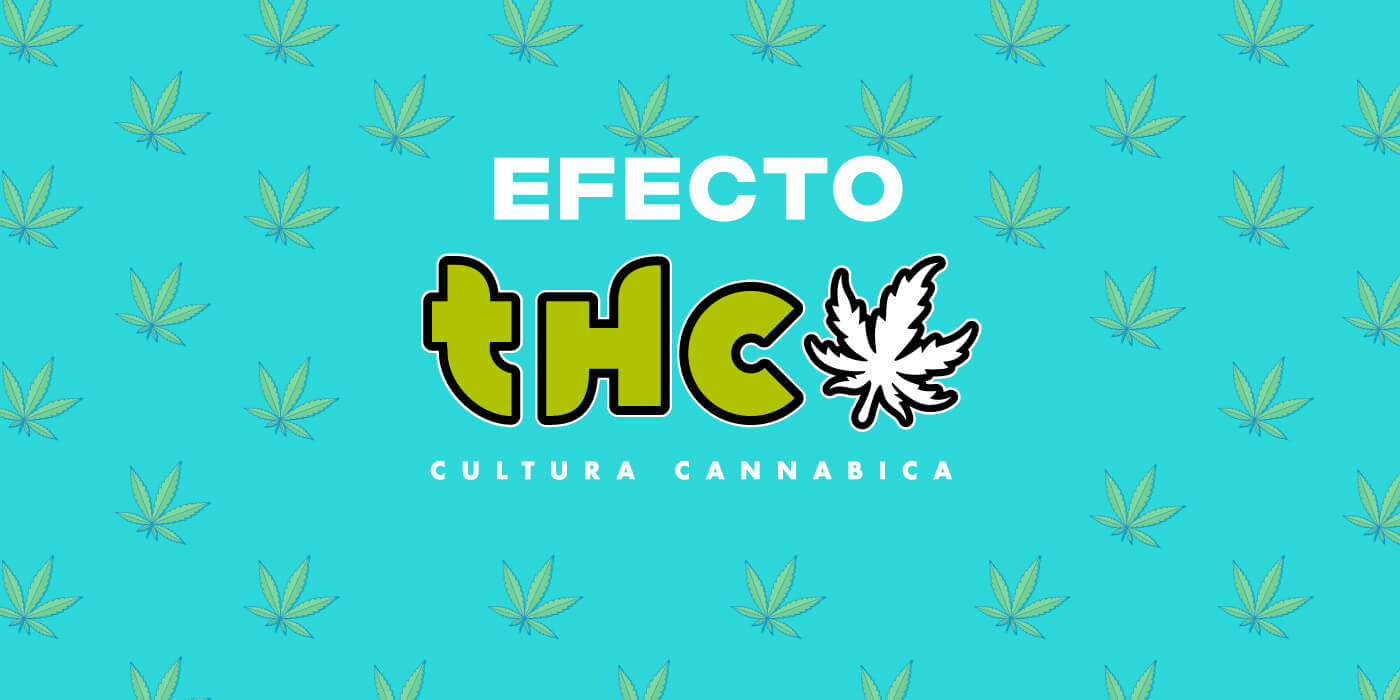 NUEVO METRO PODCAST: Escuchá “Efecto THC”, producido junto a la Revista THC