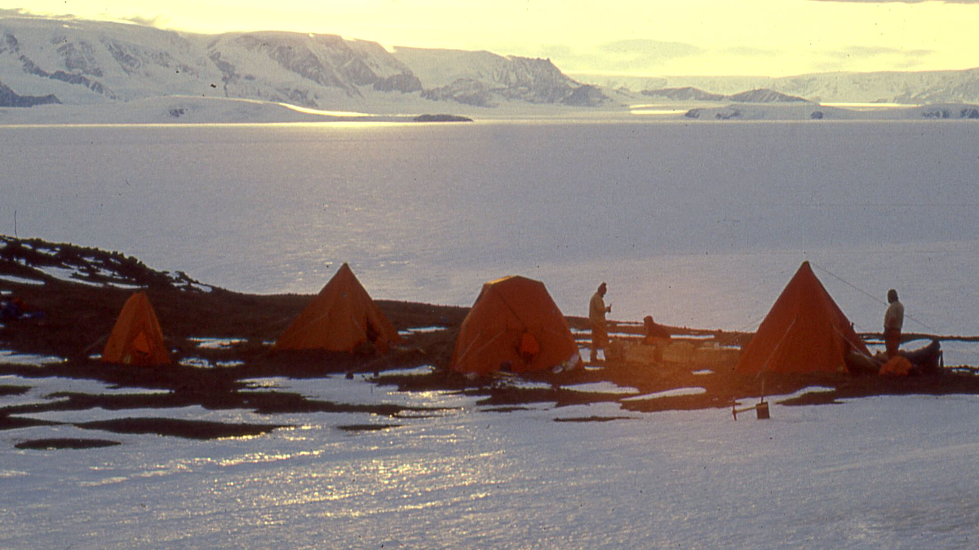 #AnécdotasDeBolsillo – Aislamiento Antártico
