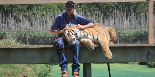Rey Tigre: lo que no te contó el éxito de Netflix sobre el maltrato y asesinato animal en Estados Unidos