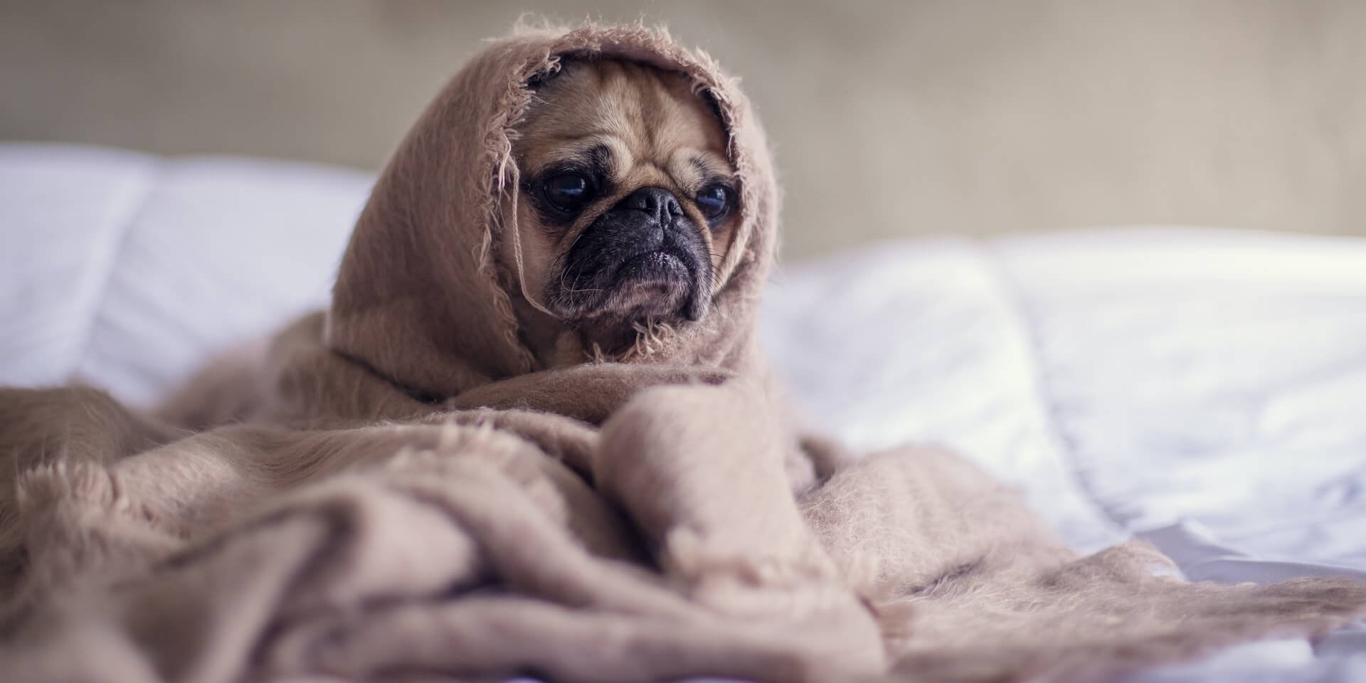 ¿Te cuesta dormir a la noche? 6 aplicaciones que te pueden ayudar a descansar mejor