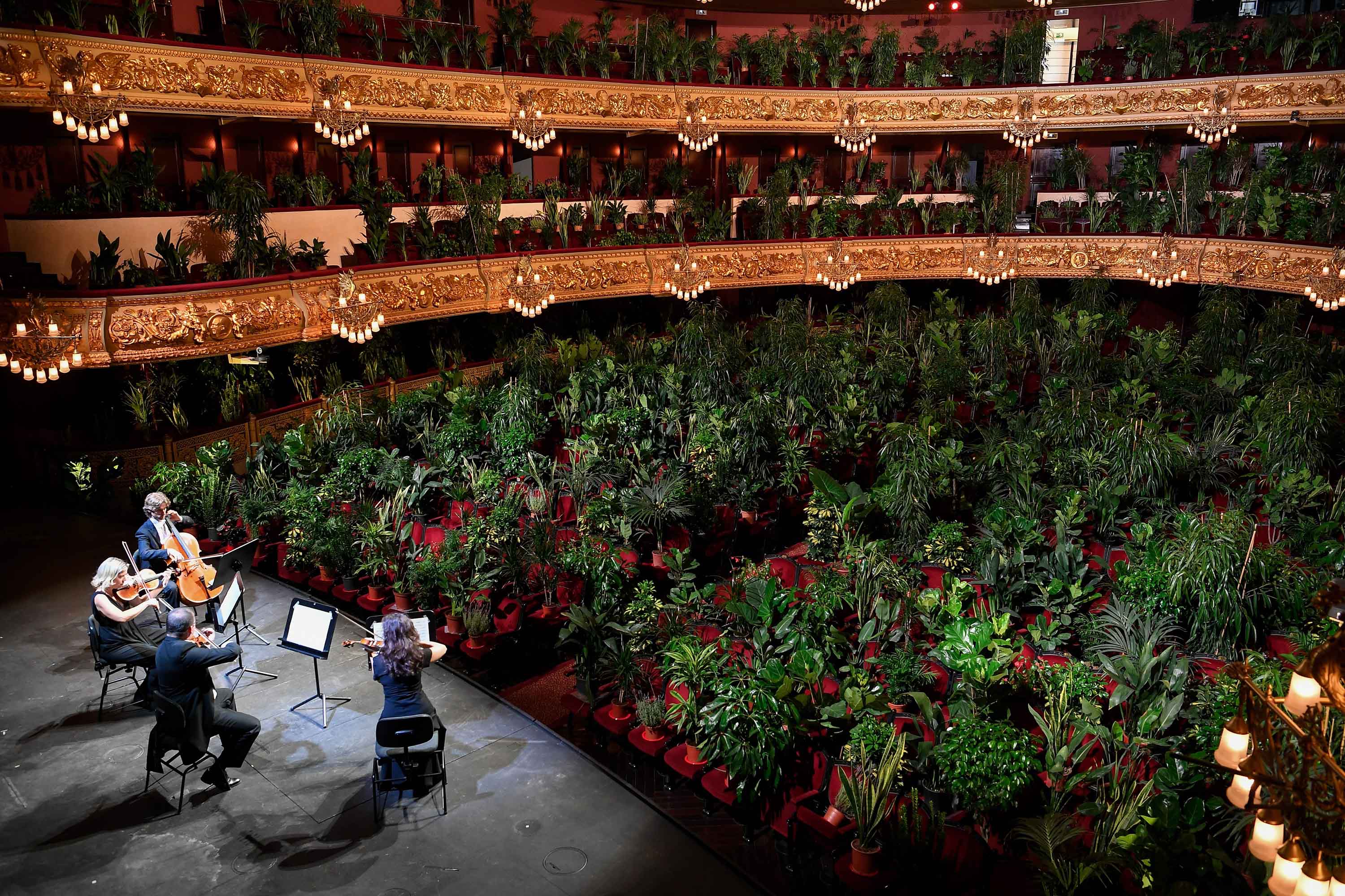 La ópera de Barcelona reabrió con un concierto para 2300 plantas