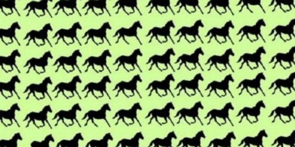 [DESAFÍO] ¿Podés encontrar los cinco caballos con tres patas en esta imagen?
