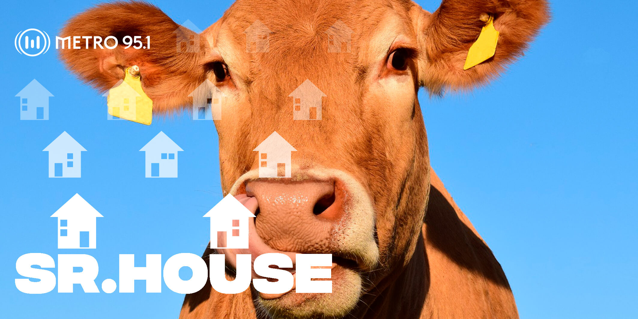 #SrHouse – Invertir en vacas
