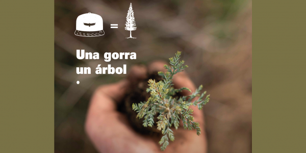 El propósito de Trown: 1 gorra = 1 árbol