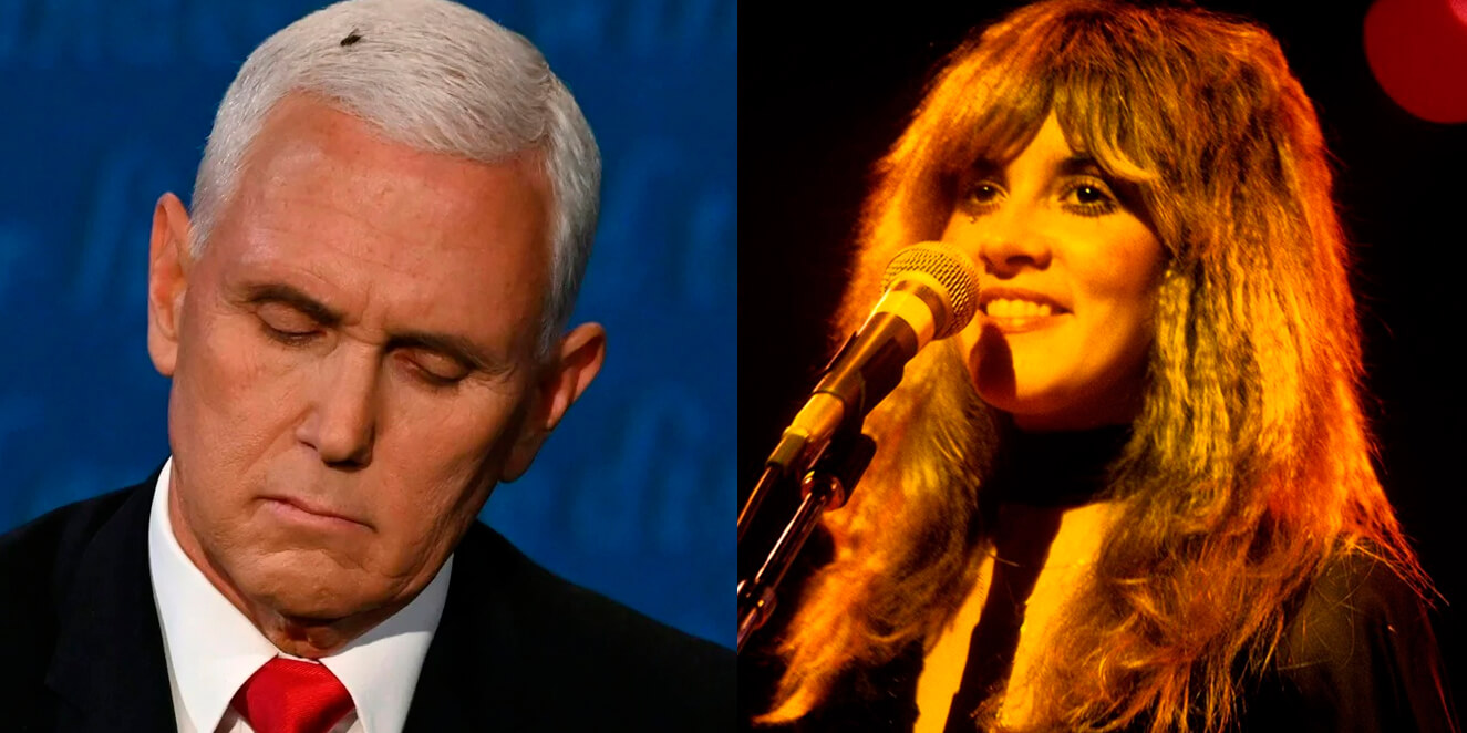 El genial crossover entre el viral de Fleetwood Mac y la mosca de Mike Pence