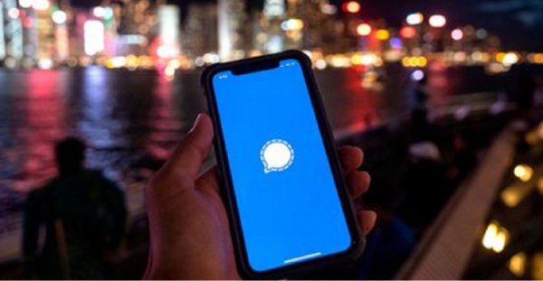 ¿Qué es Signal, la red social recomendada por Elon Musk, y qué ventajas tiene sobre WhatsApp y Telegram?