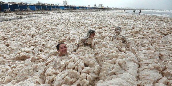 ¿Cuál es la explicación científica de la densa espuma marina que apareció en las costas de Mar del Plata?