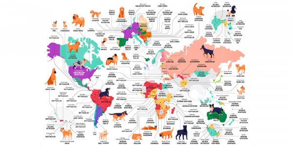 Un mapa muestra cuáles son los perros preferidos en cada región del mundo