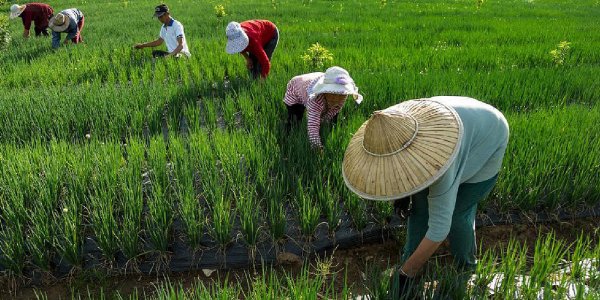 Así es el ambicioso plan de China para controlar el clima