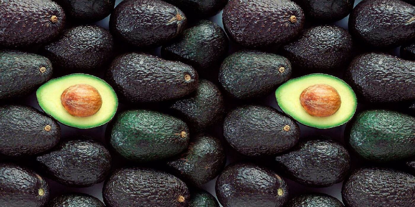 Beneficios del té de semilla de palta: Cómo hacerlo