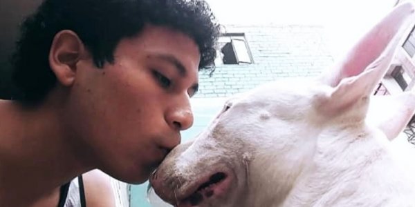 Estudiante hizo su tesis sobre la muerte de su perro