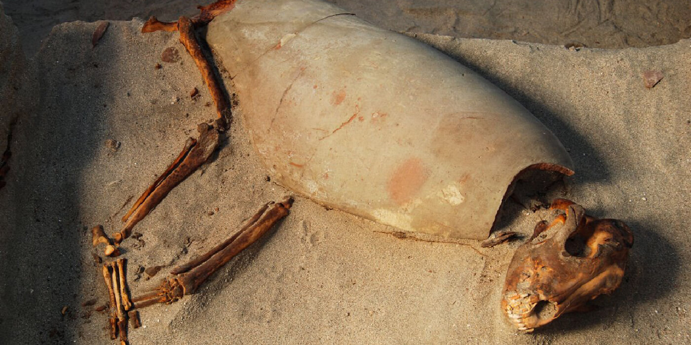 Hallan el cementerio de mascotas más antiguo del mundo