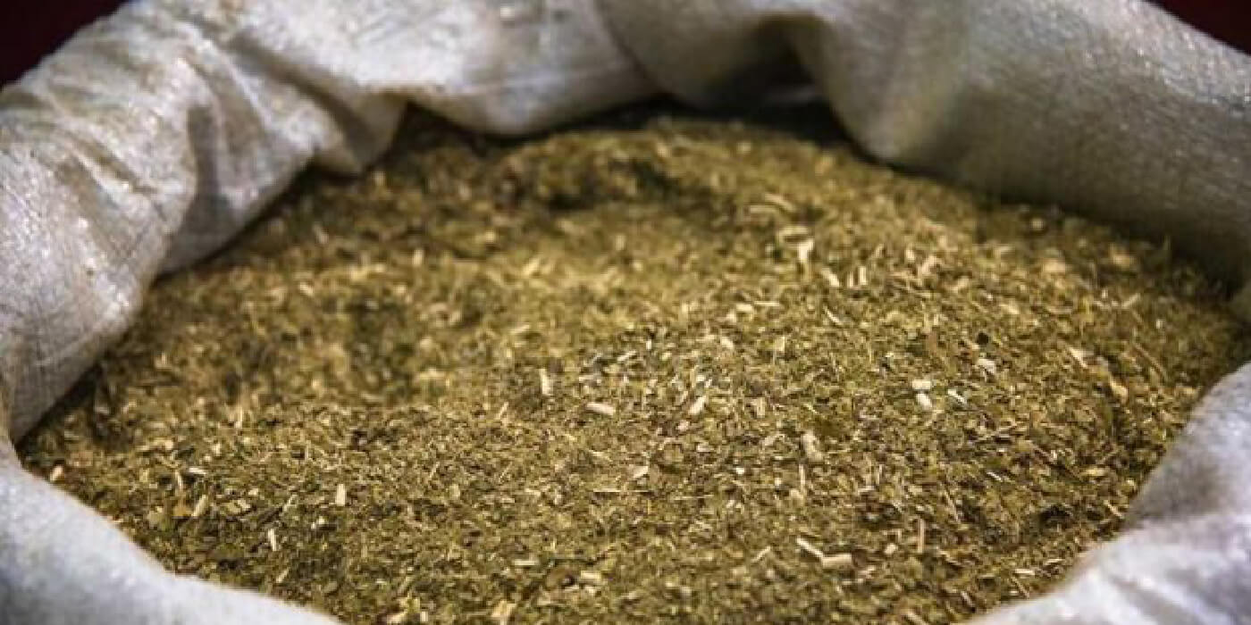 La yerba mate hace historia: se comercializará en uno de los mayores mercados mundiales