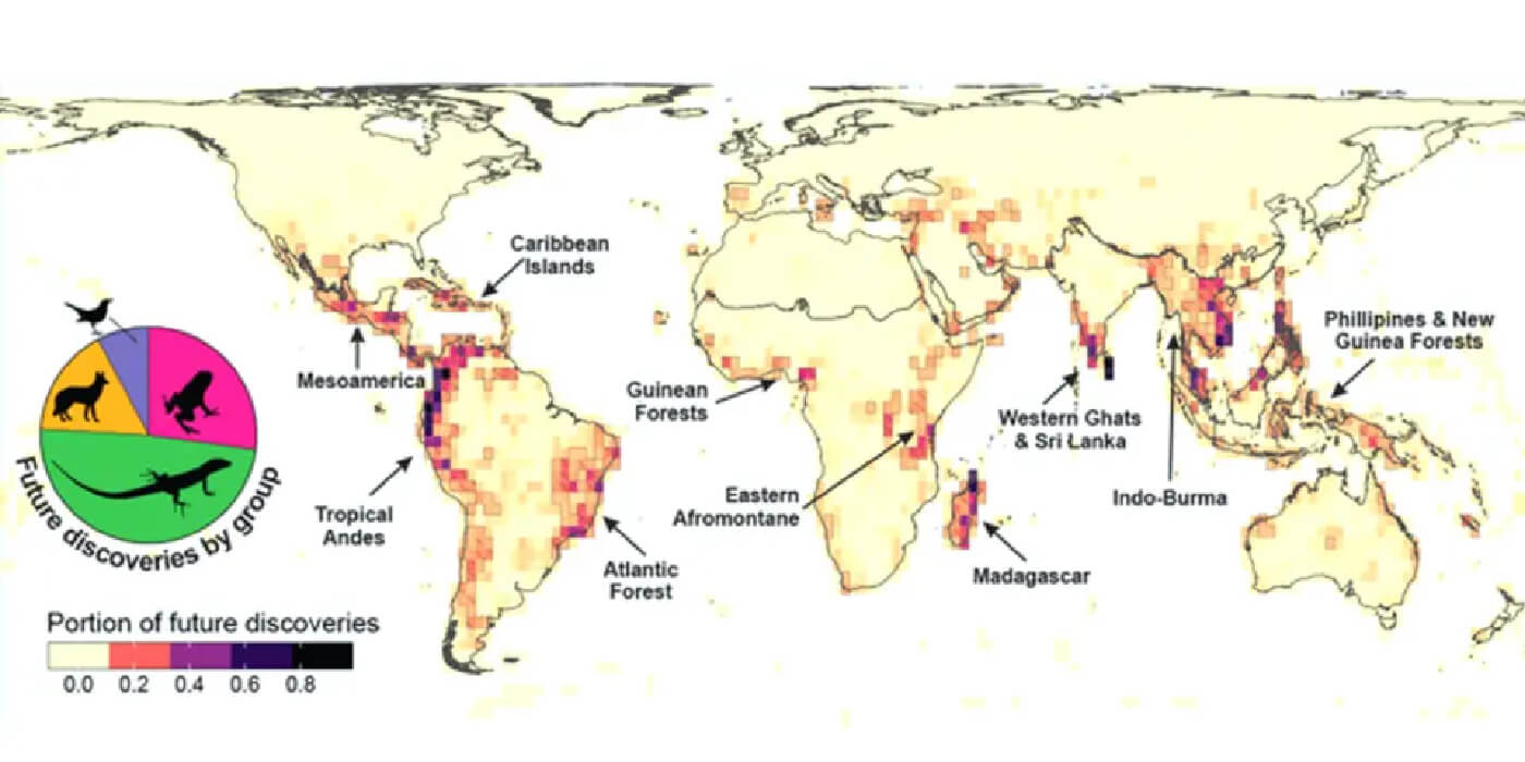 Mapean las zonas en las que aún podrían aparecer especies desconocidas