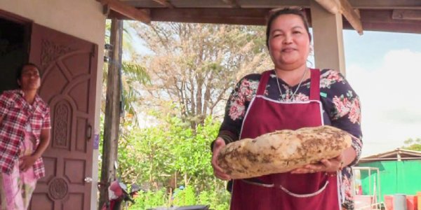 Mujer descubre 7 kilos de vómito de ballena ¡valuados en 260.000 dólares!