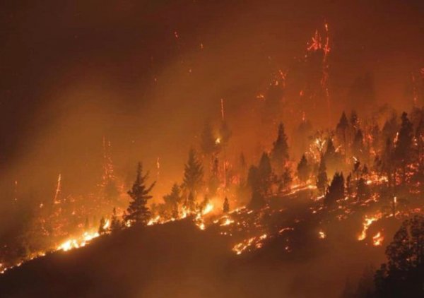 incendios forestales en la patagonia