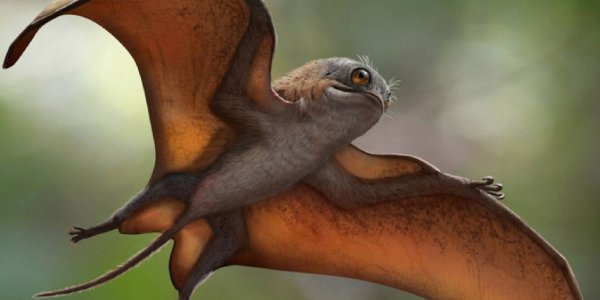 Descubren un dinosaurio similar a una criatura de Star Wars